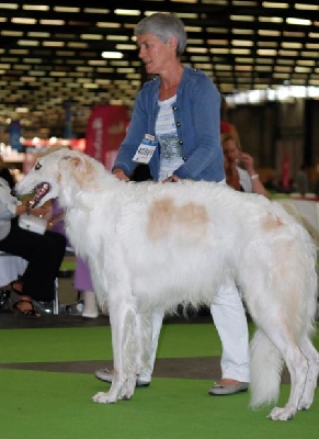 du Cot-Regnier - WORLD DOG SHOW 08/07/2011