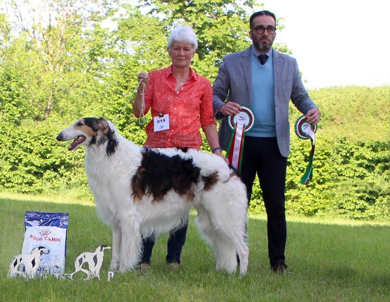 CH. Tcherkess du Cot-Regnier